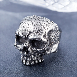 Titanium Steel Skull